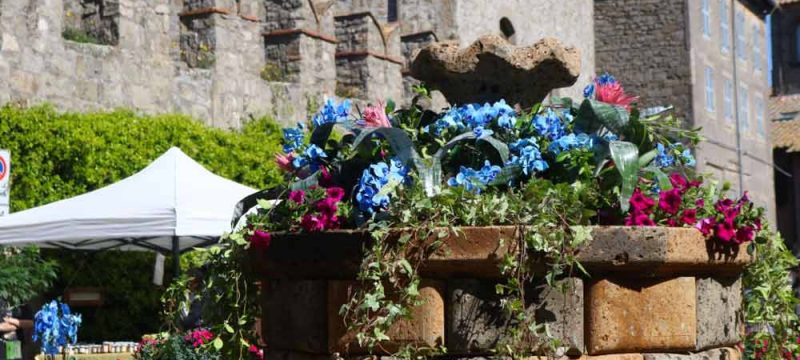 san-pellegrino-in-fiore3