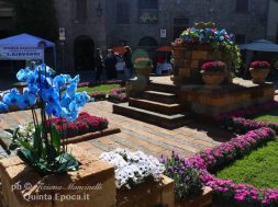 san-pellegrino-in-fiore4