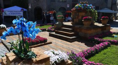 san-pellegrino-in-fiore4