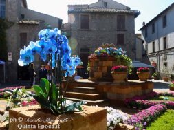 san-pellegrno-in-fiore-8