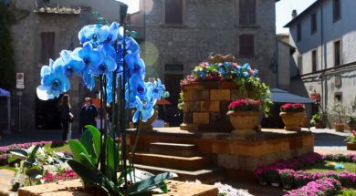 san-pellegrno-in-fiore-8