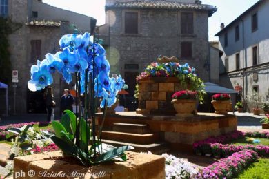 san-pellegrno-in-fiore-8