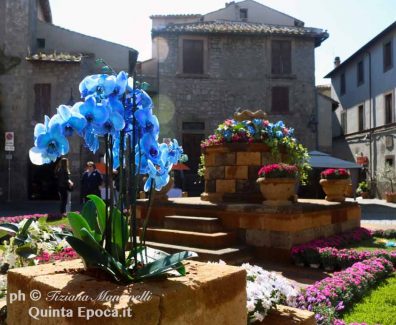 san-pellegrno-in-fiore-8