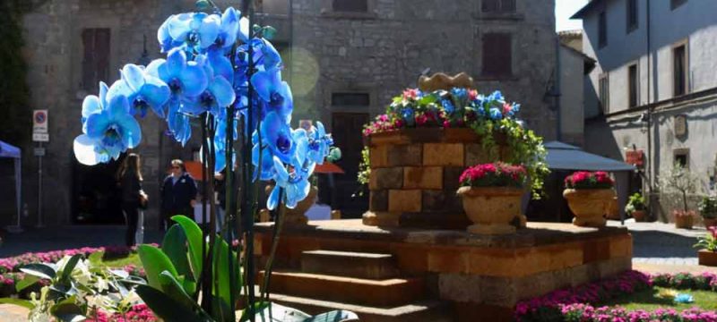 san-pellegrno-in-fiore-8