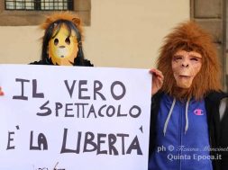 circo3