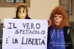 circo3