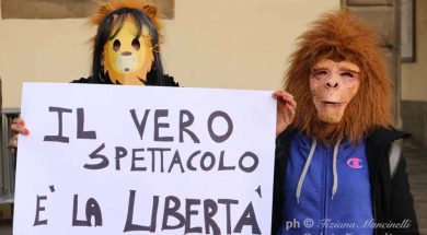 circo3