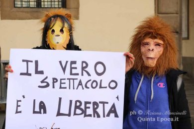 circo3