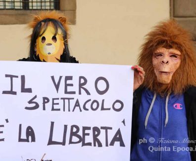circo3