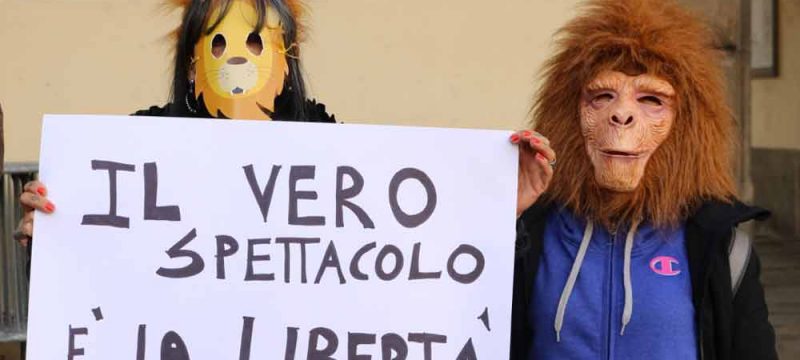 circo3