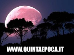 luna-rosa