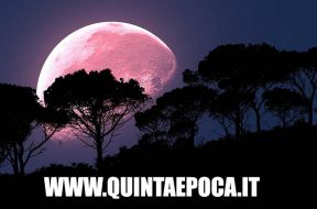 luna-rosa