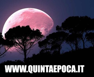 luna-rosa