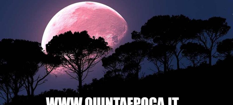 luna-rosa