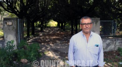 contardo