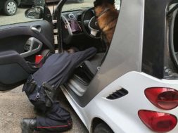 carabinieri-cani-droga