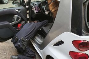 carabinieri-cani-droga