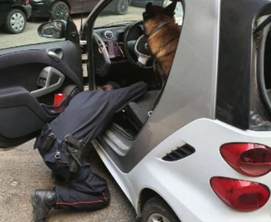 carabinieri-cani-droga