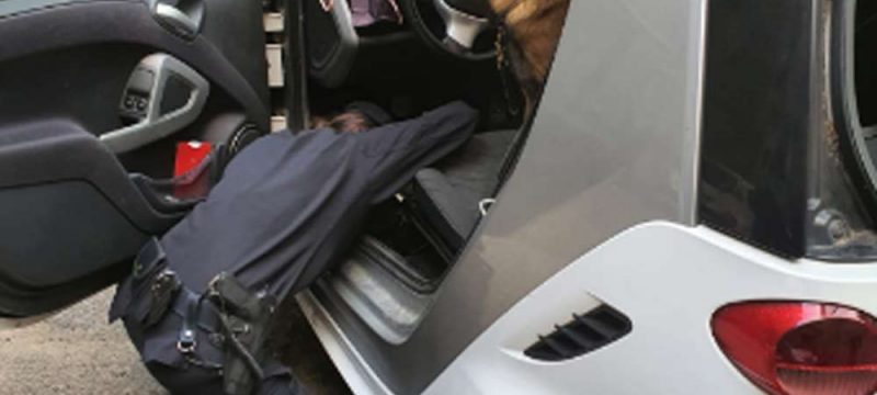 carabinieri-cani-droga