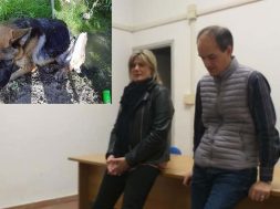 perlorca-micci-spes