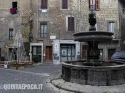 BAGNAIA-NATALE-ALBERO