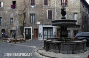 BAGNAIA-NATALE-ALBERO