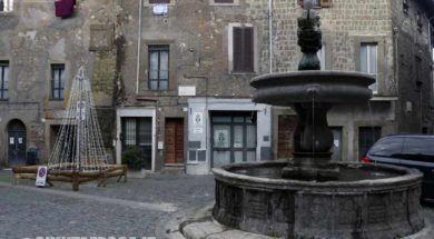 BAGNAIA-NATALE-ALBERO