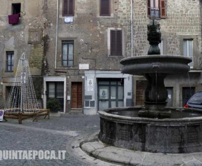 BAGNAIA-NATALE-ALBERO