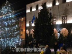 albero-natale