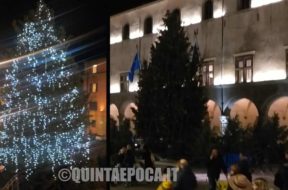 albero-natale