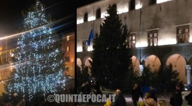 albero-natale