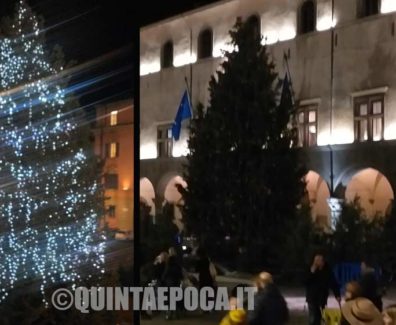 albero-natale