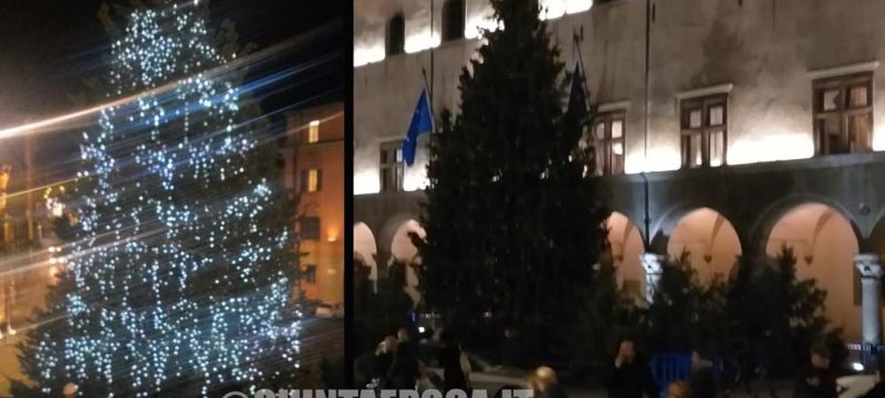 albero-natale