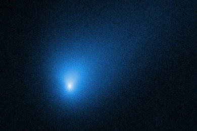 cometa-borisov