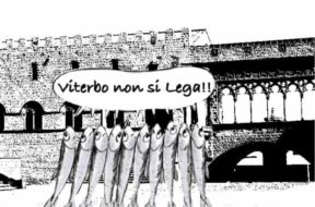 sardine