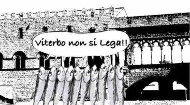 sardine
