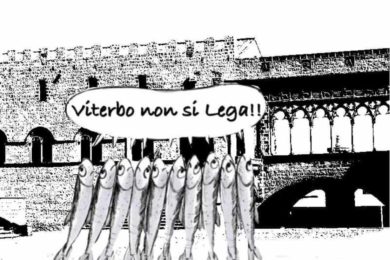 sardine
