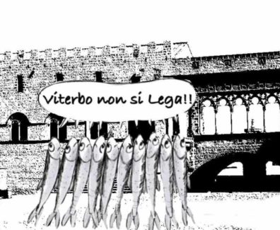 sardine