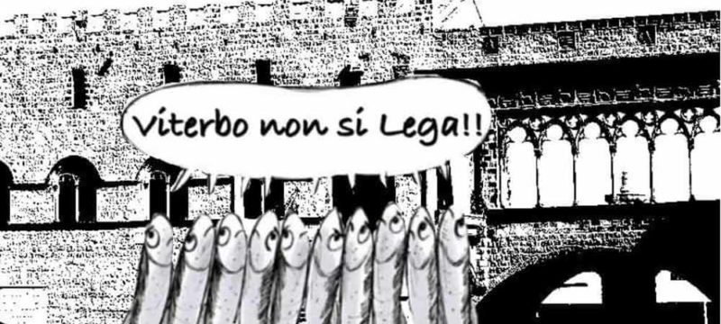 sardine