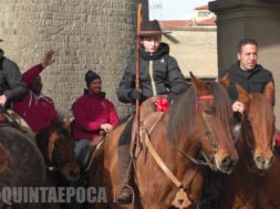 ANIMALI-CAVALLO-2