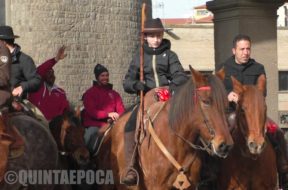 ANIMALI-CAVALLO-2