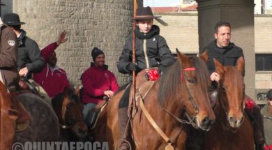 ANIMALI-CAVALLO-2