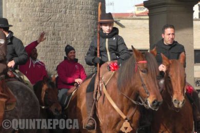 ANIMALI-CAVALLO-2