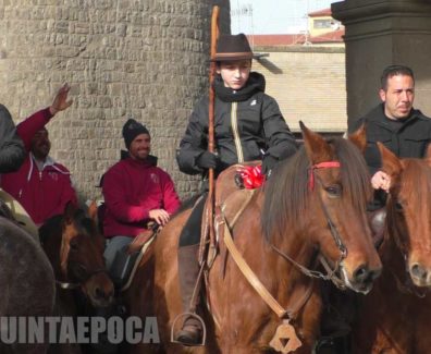 ANIMALI-CAVALLO-2