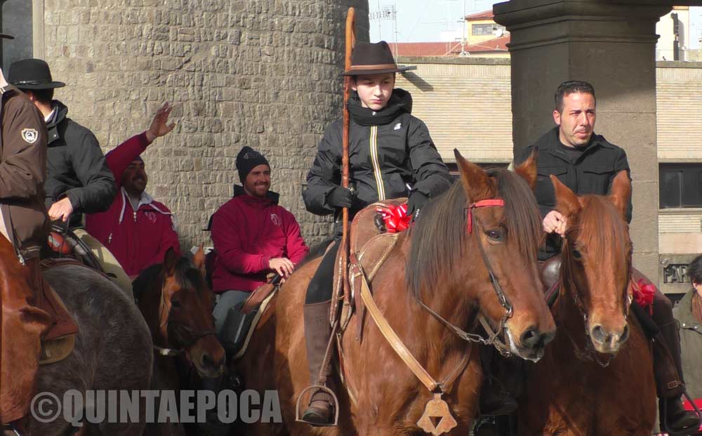 Sfilata e benedizione degli animali in Piazza del Plebiscito.