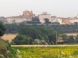 montalto-di-castro