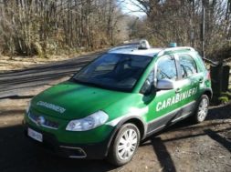 carabinieri-forestali