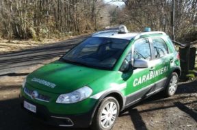 carabinieri-forestali