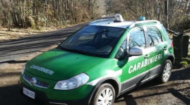 carabinieri-forestali