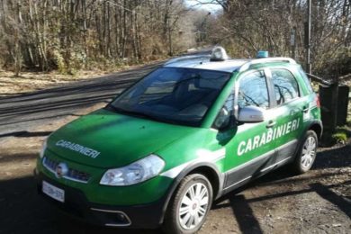 carabinieri-forestali
